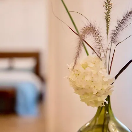 Privatus Apartamentai * Vilnius