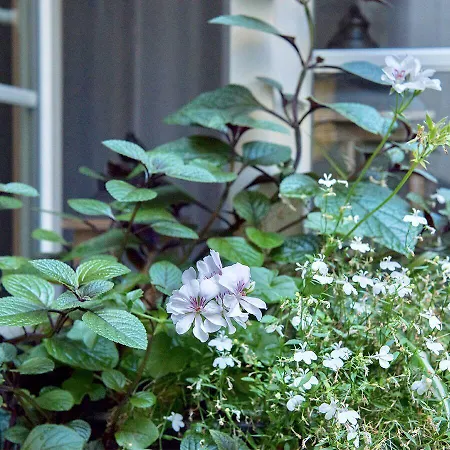 Privatus Apartamentai
